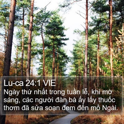 Lu-ca 24:1 VIE Bible Verse Image