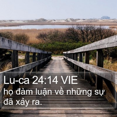 Lu-ca 24:14 VIE Bible Verse Image
