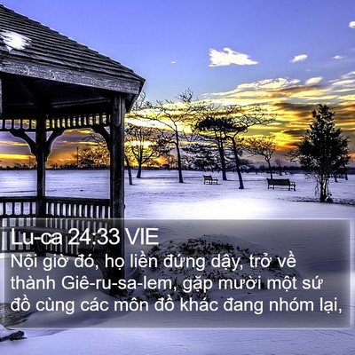 Lu-ca 24:33 VIE Bible Verse Image