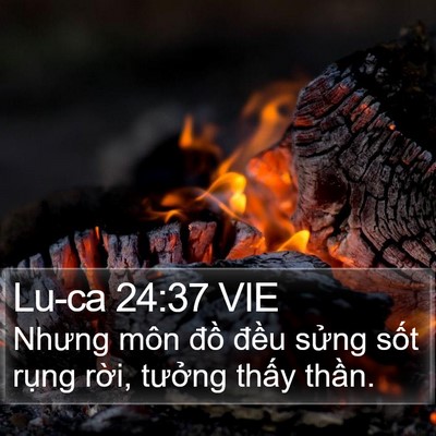 Lu-ca 24:37 VIE Bible Verse Image