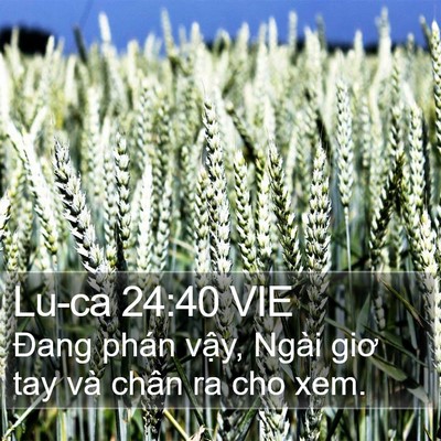 Lu-ca 24:40 VIE Bible Verse Image