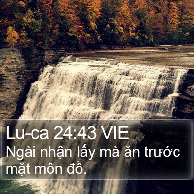 Lu-ca 24:43 VIE Bible Verse Image
