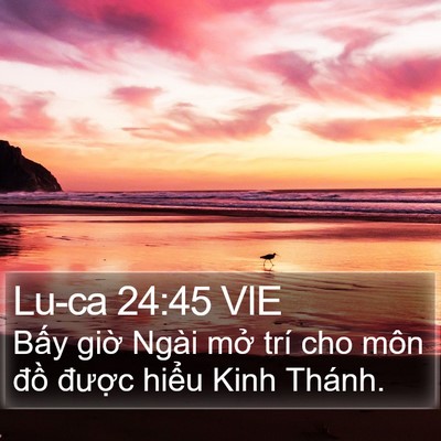 Lu-ca 24:45 VIE Bible Verse Image