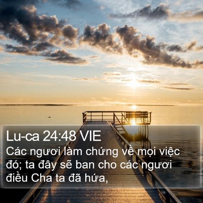 Lu-ca 24:48 VIE Bible Verse Image