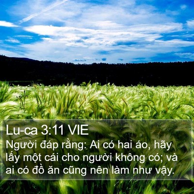Lu-ca 3:11 VIE Bible Verse Image