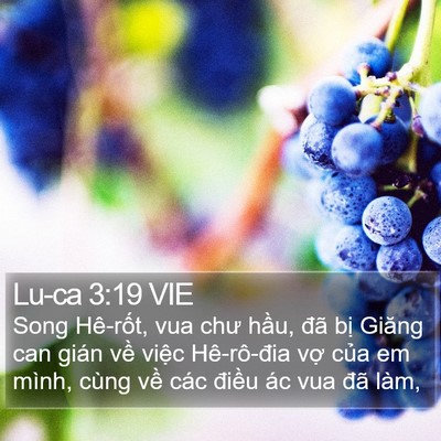 Lu-ca 3:19 VIE Bible Verse Image