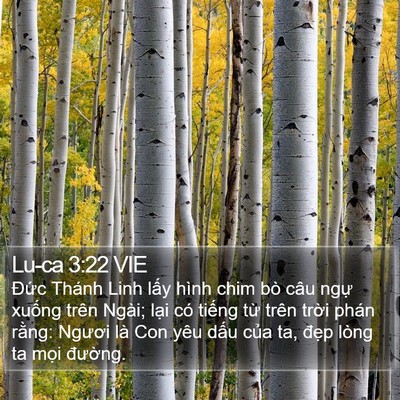 Lu-ca 3:22 VIE Bible Verse Image