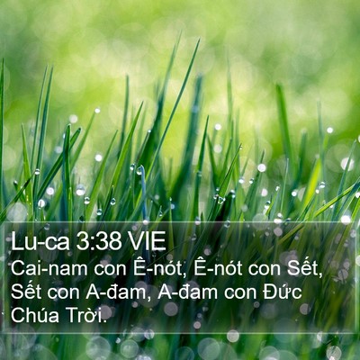 Lu-ca 3:38 VIE Bible Verse Image