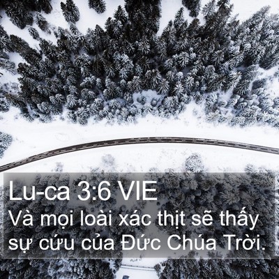 Lu-ca 3:6 VIE Bible Verse Image