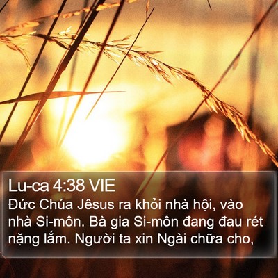 Lu-ca 4:38 VIE Bible Verse Image