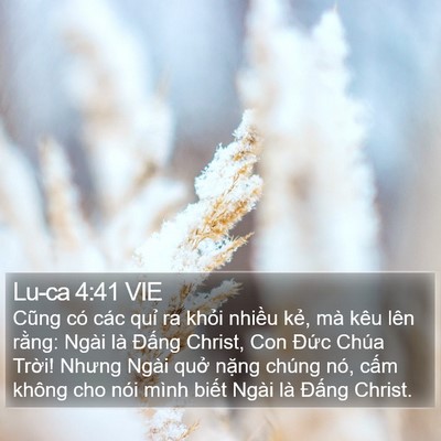 Lu-ca 4:41 VIE Bible Verse Image