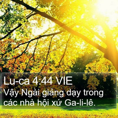 Lu-ca 4:44 VIE Bible Verse Image