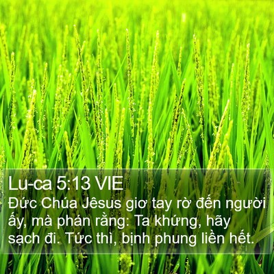 Lu-ca 5:13 VIE Bible Verse Image