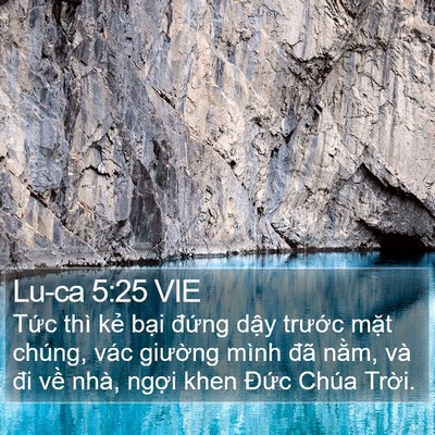 Lu-ca 5:25 VIE Bible Verse Image