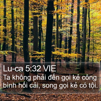 Lu-ca 5:32 VIE Bible Verse Image