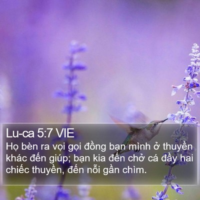Lu-ca 5:7 VIE Bible Verse Image