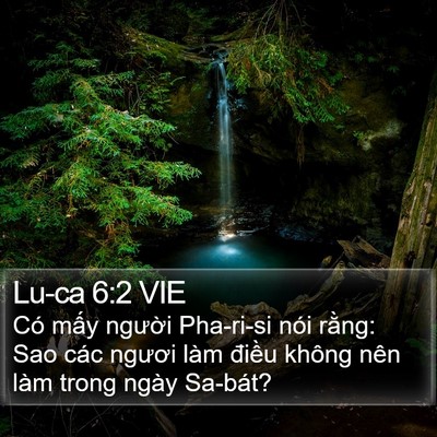 Lu-ca 6:2 VIE Bible Verse Image