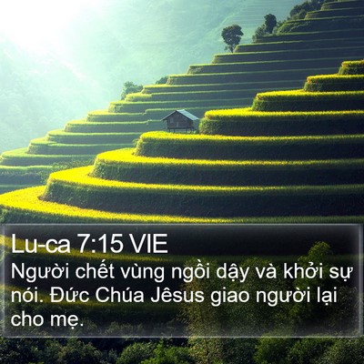 Lu-ca 7:15 VIE Bible Verse Image