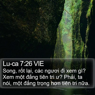 Lu-ca 7:26 VIE Bible Verse Image
