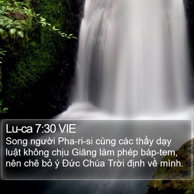 Lu-ca 7:30 VIE Bible Verse Image