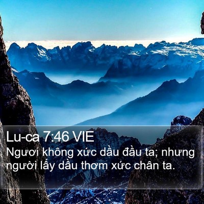 Lu-ca 7:46 VIE Bible Verse Image