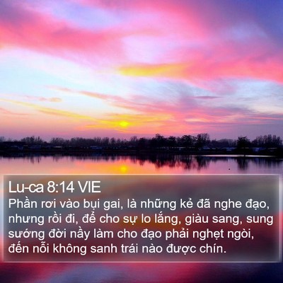 Lu-ca 8:14 VIE Bible Verse Image