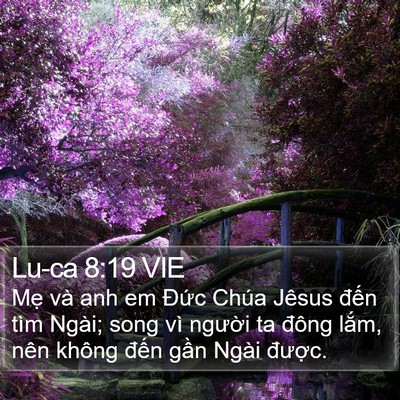 Lu-ca 8:19 VIE Bible Verse Image