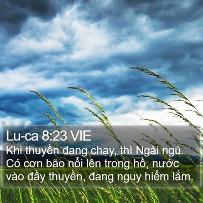 Lu-ca 8:23 VIE Bible Verse Image