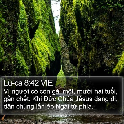 Lu-ca 8:42 VIE Bible Verse Image