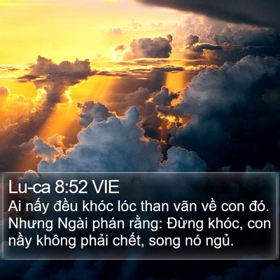 Lu-ca 8:52 VIE Bible Verse Image