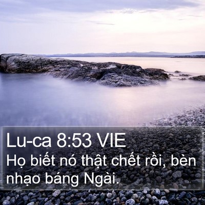 Lu-ca 8:53 VIE Bible Verse Image