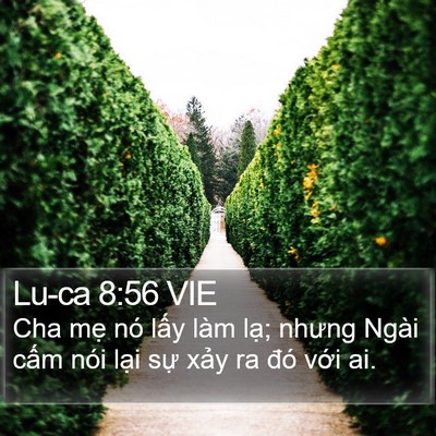 Lu-ca 8:56 VIE Bible Verse Image