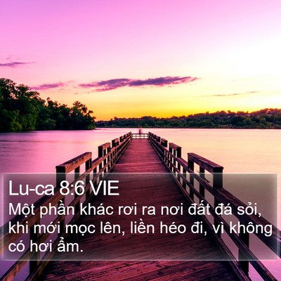 Lu-ca 8:6 VIE Bible Verse Image