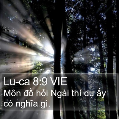 Lu-ca 8:9 VIE Bible Verse Image