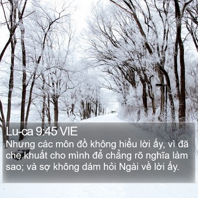 Lu-ca 9:45 VIE Bible Verse Image