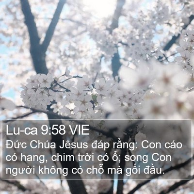 Lu-ca 9:58 VIE Bible Verse Image