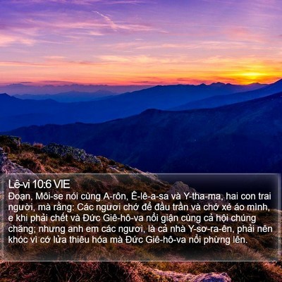 Lê-vi 10:6 VIE Bible Verse Image