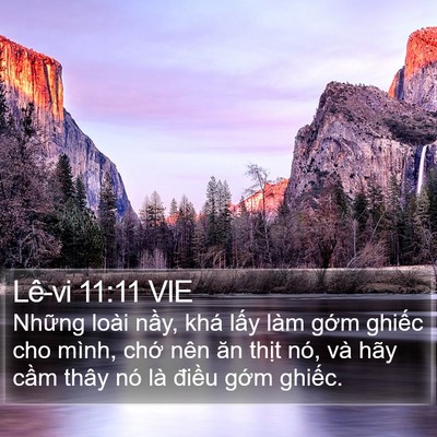 Lê-vi 11:11 VIE Bible Verse Image
