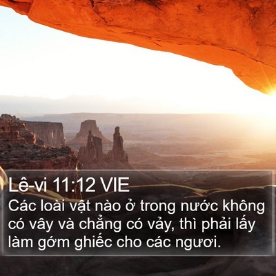 Lê-vi 11:12 VIE Bible Verse Image
