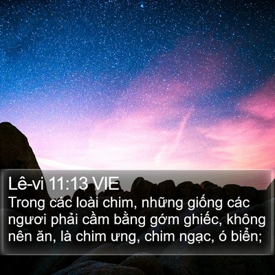 Lê-vi 11:13 VIE Bible Verse Image