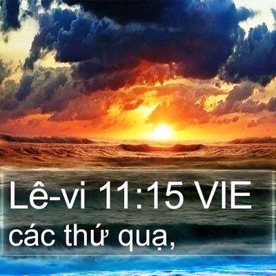 Lê-vi 11:15 VIE Bible Verse Image
