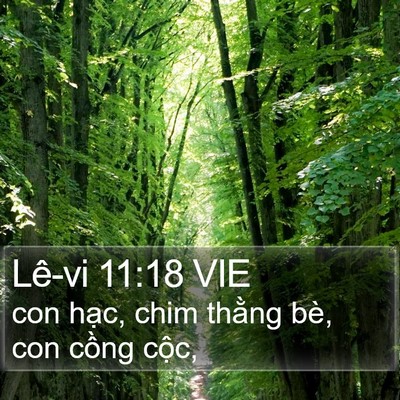 Lê-vi 11:18 VIE Bible Verse Image