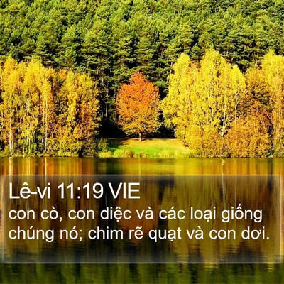 Lê-vi 11:19 VIE Bible Verse Image
