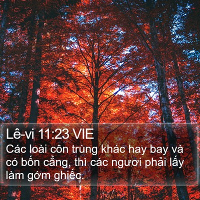 Lê-vi 11:23 VIE Bible Verse Image