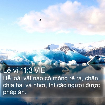 Lê-vi 11:3 VIE Bible Verse Image