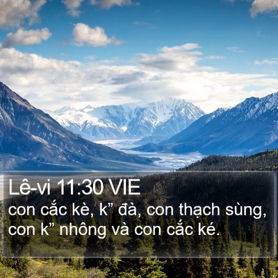 Lê-vi 11:30 VIE Bible Verse Image