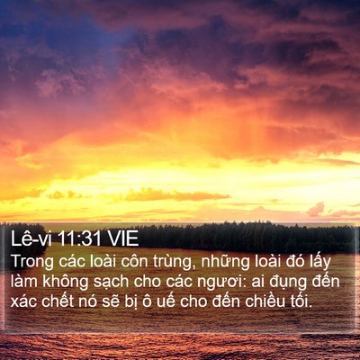 Lê-vi 11:31 VIE Bible Verse Image