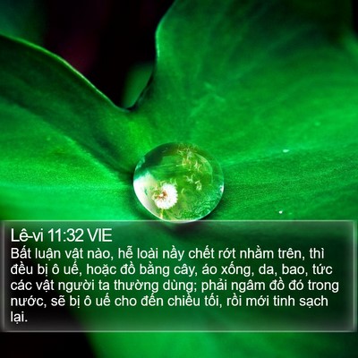 Lê-vi 11:32 VIE Bible Verse Image