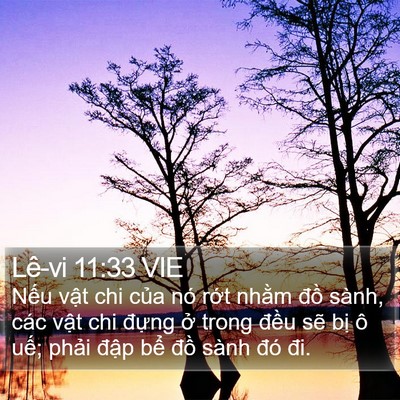 Lê-vi 11:33 VIE Bible Verse Image