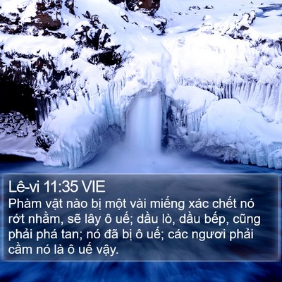 Lê-vi 11:35 VIE Bible Verse Image